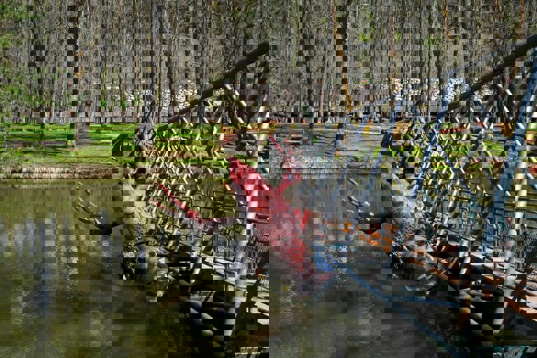 Local Sculptor Uses Recycled Metal to Create Towering Public Artwork